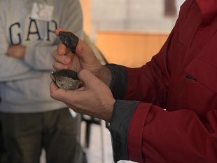 meteorite-tra-quarrata-e-agliana-come-e-dove-cercarla