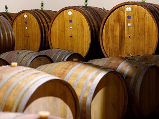 etichettatura-vino-scelta-sbagliata-che-indebolisce-leuropa