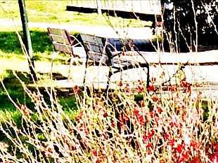 panchine-solari-in-arrivo-a-firenze