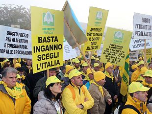 gli-allevatori-e-agricoltori-toscani-contestano-la-lactalis