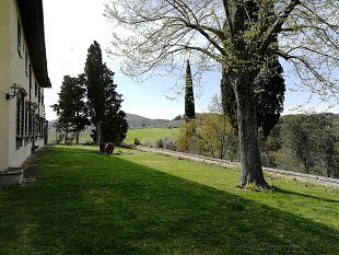 festival-vino-naturale-il-5-e-6-maggio-a-impruneta