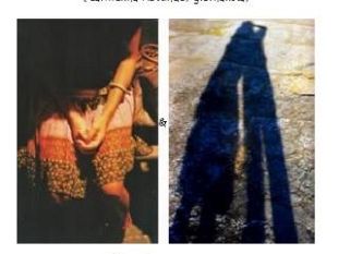 b308142036-1-2-di-nicola-rapuano-dal-16-agosto-in-mostra