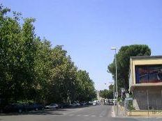 a707210117-dall-abbattimento-dell-alberatura-di-viale-morgagni-ad-altre-decine-di-alberi-condannati-a-cadere-grazie-all-alta-velocita