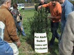 a809261249-un-albero-per-abdul-guibre