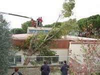 b311121701-vento-forte-albero-cade-su-una-scuola-vicino-a-firenze