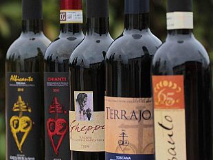 b203151437-vino-si-presenta-l-annata-2011-della-fattoria-bini