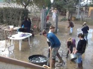 alluvione