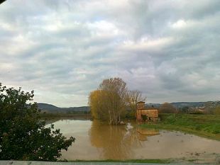 b211131944-situazione-maltempo-in-toscana-inizia-il-conto-dei-danni-all-agricoltura-video