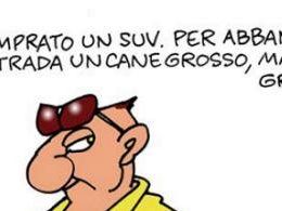 a807231445-vacanze-con-i-fiocchi-le-campagna-della-provincia-contro-gli-incidenti-e-di-legambiente-contro-l-abbandono-di-animali