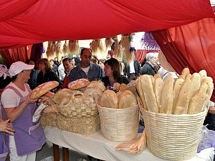b205091615-torna-la-festa-del-pane-di-altopascio