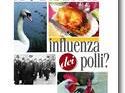 a604171947-libri-a-ciascun-pollo-l-influenza-che-si-merita