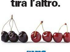 a507151513-campagna-estiva-di-avis-toscana