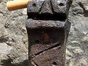 gatti-cavalli-e-draghi-sui-muri-di-firenze