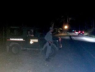 cercatori-di-funghi-invadono-il-parco-delle-foreste-casentinesi-falterona-e-campigna