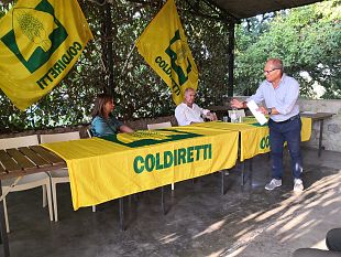 alta-qualita-del-grano-e-prezzi-minimi-il-granaio-siena-rischia-di-esplodere