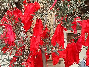 no-violenza-sulle-donne-25-novembre-piazza-signoria-gremita