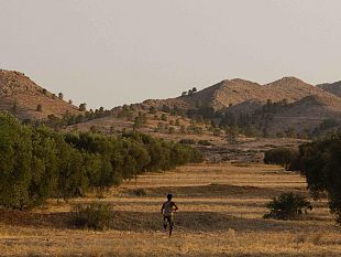 cinema-domani-il-medio-oriente-agli-uffizi