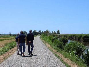 lago-di-massaciuccoli-rialzati-e-rafforzati-gli-argini