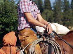 b105010939-cavalli-al-femminile