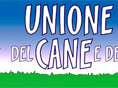 a806202344-un-appello-dal-canile-del-termine