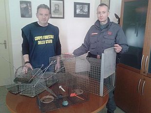 b403062224-uccelli-detenuti-a-prato-volatili-illegalmente-ingabbiati