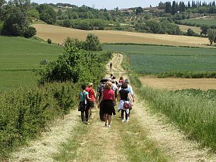 due-nuove-scuole-e-una-rinnovata-nelle-province-di-firenze-pisa-e-pistoia