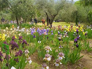 giardino-delliris-piu-forte-dei-vandali-apertura-regolare