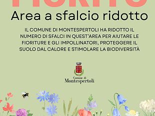 apicoltura-allarme-di-coldiretti