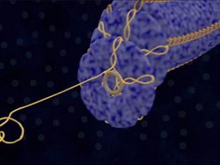 ulisse-su-rai-3-una-grafica-3d-prodotta-a-siena