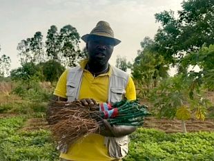 un-vigneto-toscano-in-burkina-faso