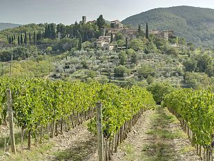 tenute-del-cabreo-si-consolida-il-forte-legame-con-il-chianti