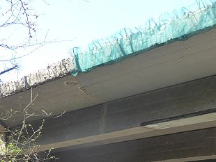 autopalio-il-ministero-e-gia-stato-coinvolto-da-idra