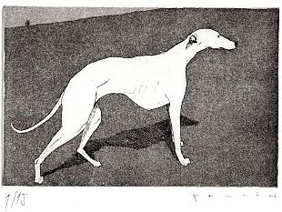 giovani-collezionisti-di-stampe-darte