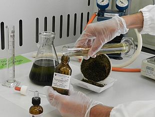 cannabis-terapeutica-passo-avanti-in-palazzo-vecchio