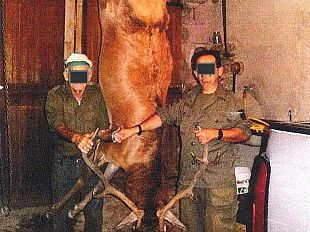 bracconieri-con-la-mania-del-selfie-beccati