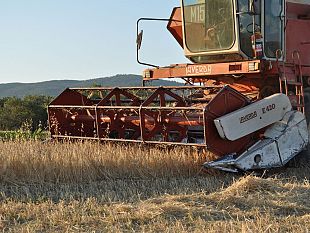 saccardi-incontro-in-streaming-con-i-produttori-della-filiera-drago