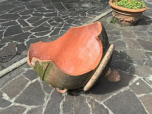 baby-gang-lanalisi-degli-psicologi-toscani