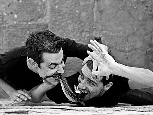 b208101621-gatti-mezzi-a-castiglione-d-orcia