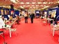 lavoro-i-servizi-online-della-regione-e-dei-centri-per-limpiego