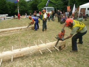 a807211409-il-campionato-italiano-del-boscaiolo-a-cantagallo