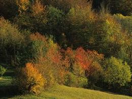 b105131825-agricoltura-toscana-uno-spazio-nel-segno-della-sostenibilita