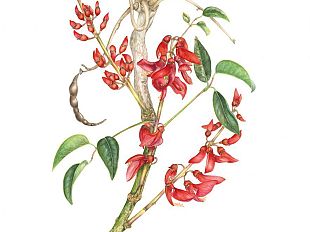 b304182206-arte-botanica-nel-terzo-millennio