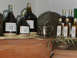 a712012304-domenica-2-dicembre-oleovagando-apre-al-pubblico-i-frantoi-e-aziende-agricole-del-territorio