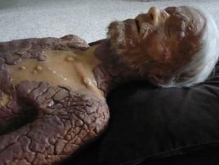 b305151459-museo-di-storia-naturale-apertura-straordinaria-a-careggi