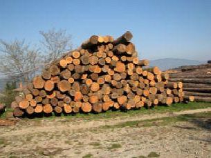 a805051424-convegno-sull-edilizia-sostenibile-in-legno-a-rignano-sull-arno