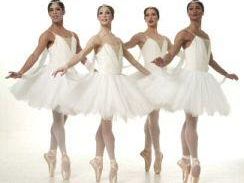 a703012333-grandiva-in-esclusiva-per-la-toscana-domenica-4-marzo-alle-ore-17-il-teatro-verdi-ospitera-la-dotatissima-e-provocante-compagnia-newyorchese