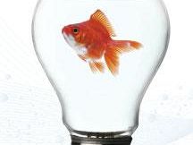 b004031754-a-pisa-si-discute-il-futuro-dell-acqua