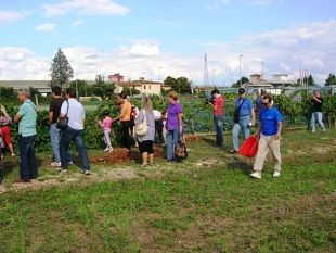b309241726-buon-compleanno-cooperativa-agricola-legnaia