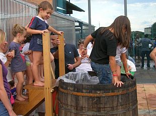 b109161916-alla-legnaia-la-vendemmia-dei-bambini