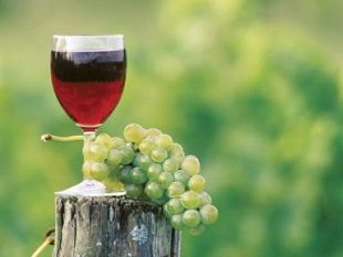 a811192126-istituto-francese-il-beaujolais-nouveau-arriva-il-20-novembre